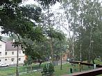 Borovina
