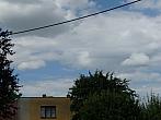 Třibřichy