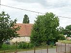 Třibřichy
