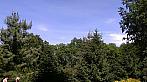 Halenkovice