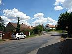 Třibřichy