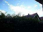Třibřichy