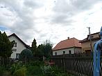 Třibřichy