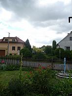 Třibřichy