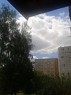 Borovina