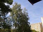 Borovina