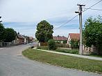 Třibřichy