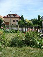 Třibřichy