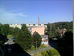 Borovina