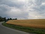 Borovina
