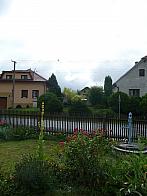 Třibřichy