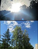 Borovina