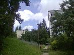 Borovina