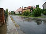 Třibřichy