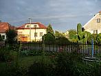 Třibřichy