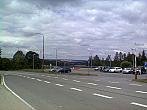 Borovina