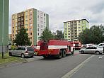 Borovina