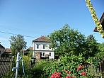 Třibřichy