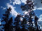 Jirkov