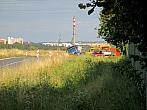 Borovina
