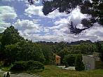 Borovina