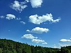 Vidov