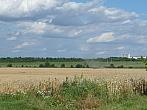 Třibřichy