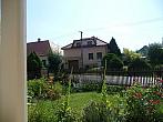Třibřichy