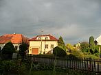 Třibřichy
