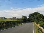 Borovina