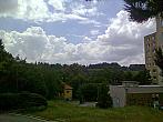 Borovina