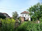 Třibřichy