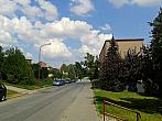 Borovina