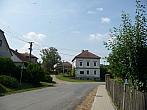 Třibřichy