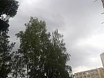 Borovina