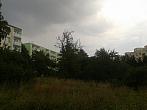 Borovina