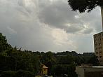 Borovina