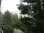 Borovina