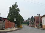 Třibřichy