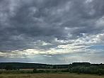 Vidov