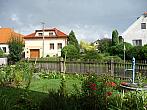 Třibřichy