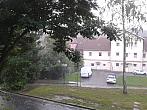 Borovina