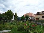 Třibřichy