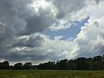 Vidov