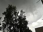 Borovina
