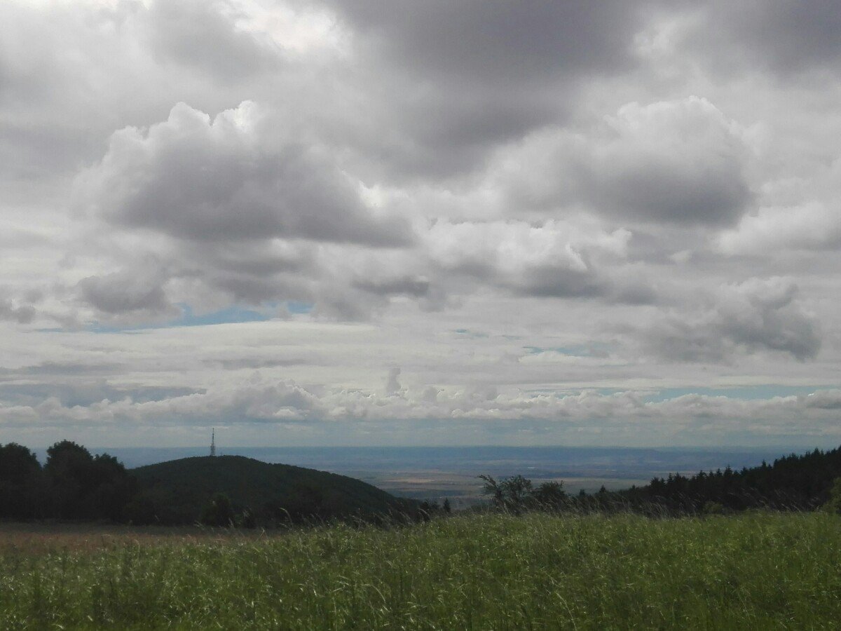 Lešná