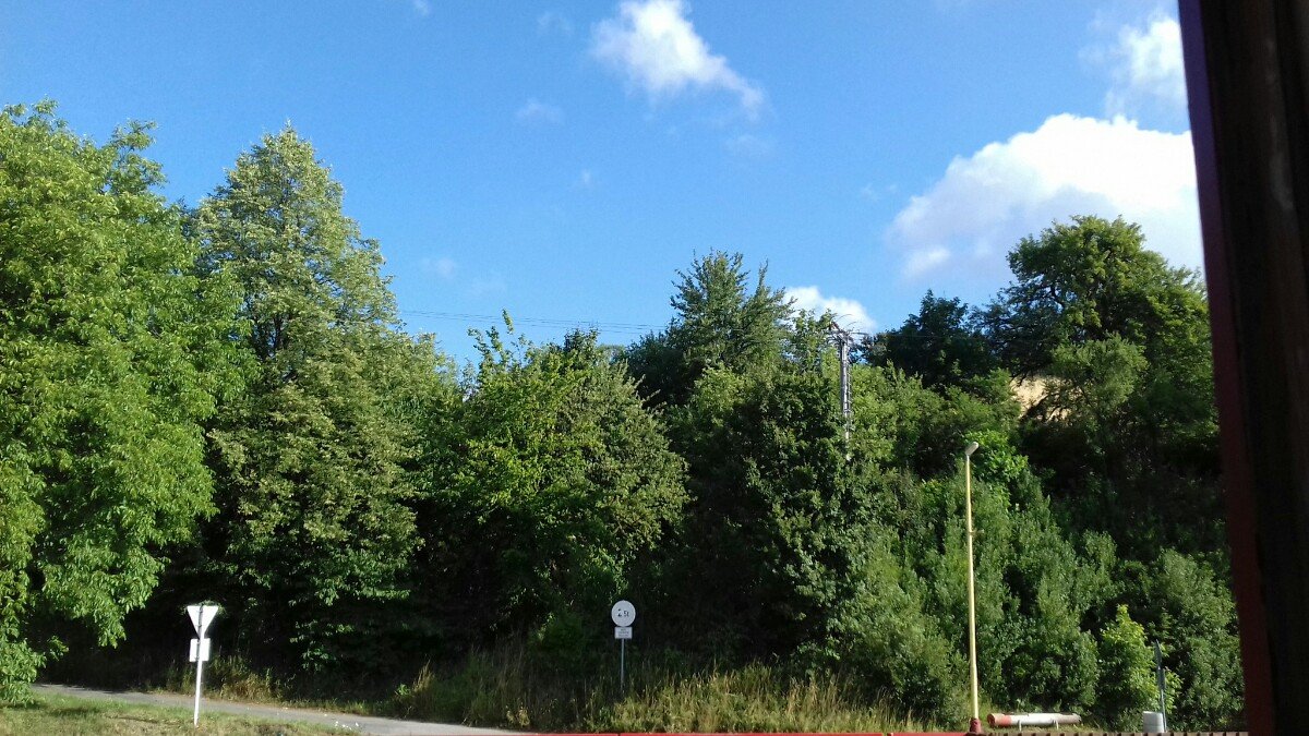 Jasenná