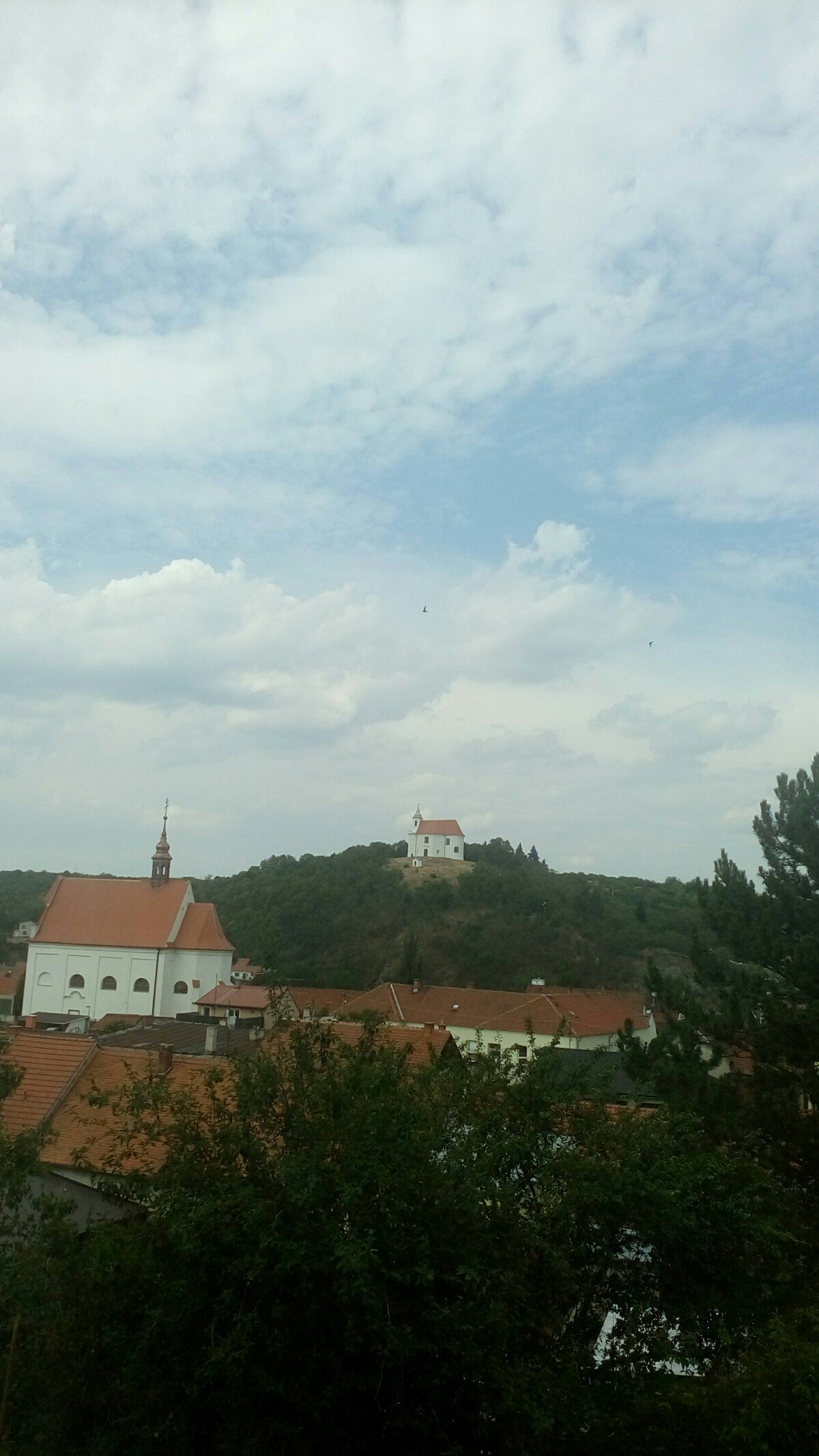 Dolní Kounice