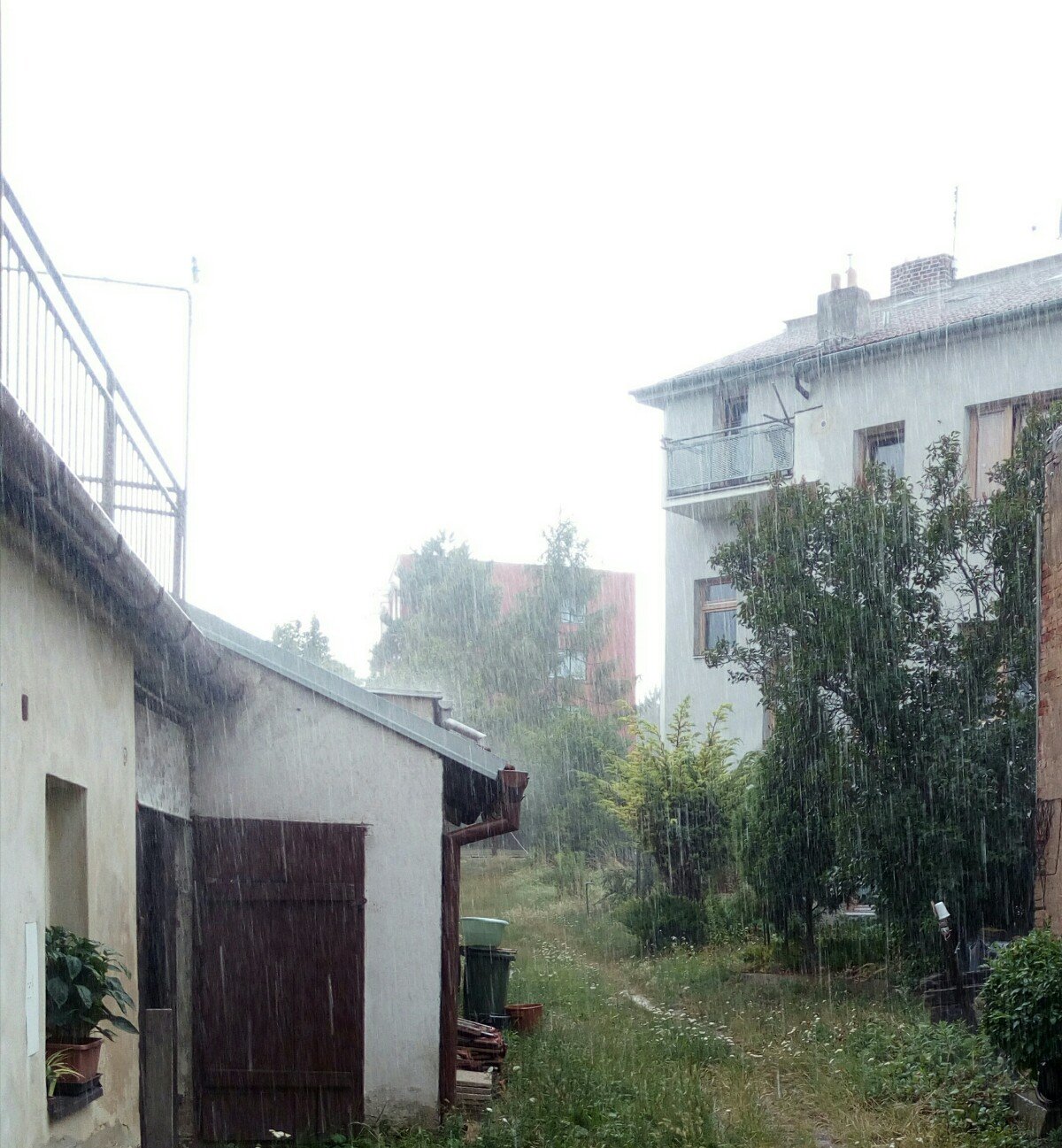 Brno