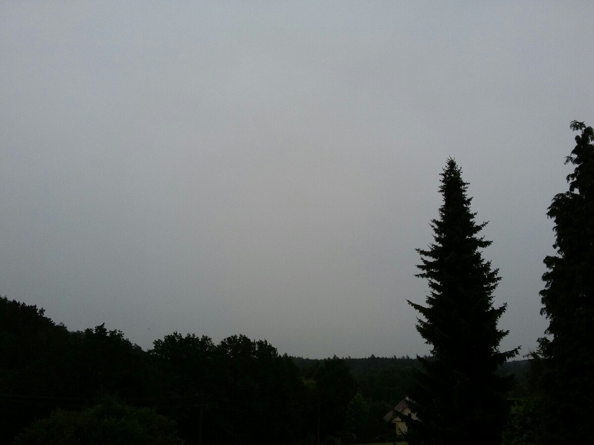 Druztová